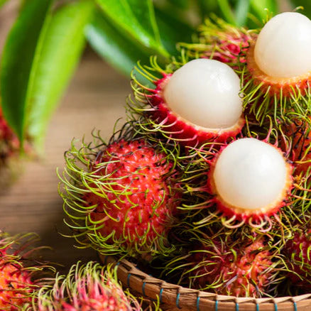 Rambutan-N18